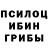 Псилоцибиновые грибы MAGIC MUSHROOMS polsy gerych