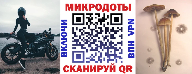 shop какой сайт Острогожск Галлюциногенные грибы ЛСД kraken ТОР