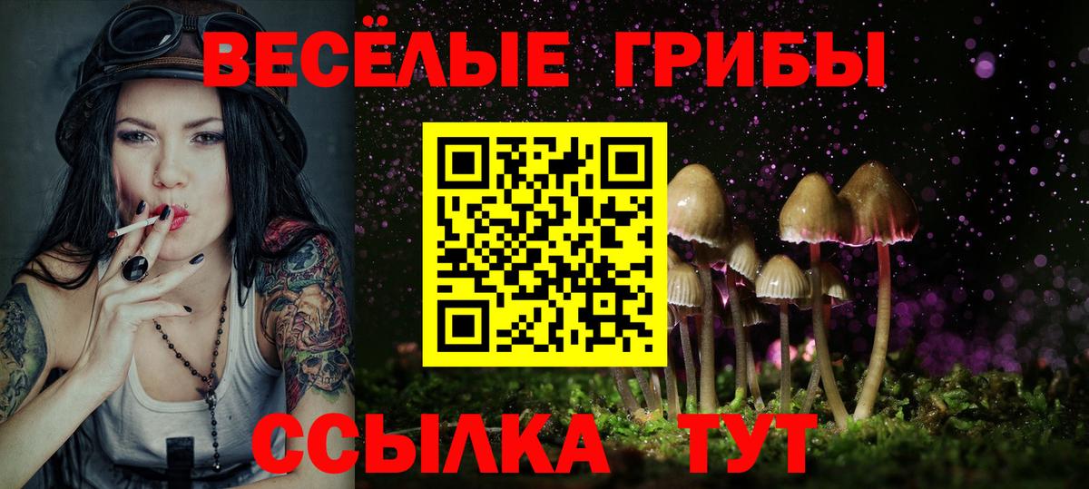 Псилоцибиновые грибы GOLDEN TEACHER Острогожск