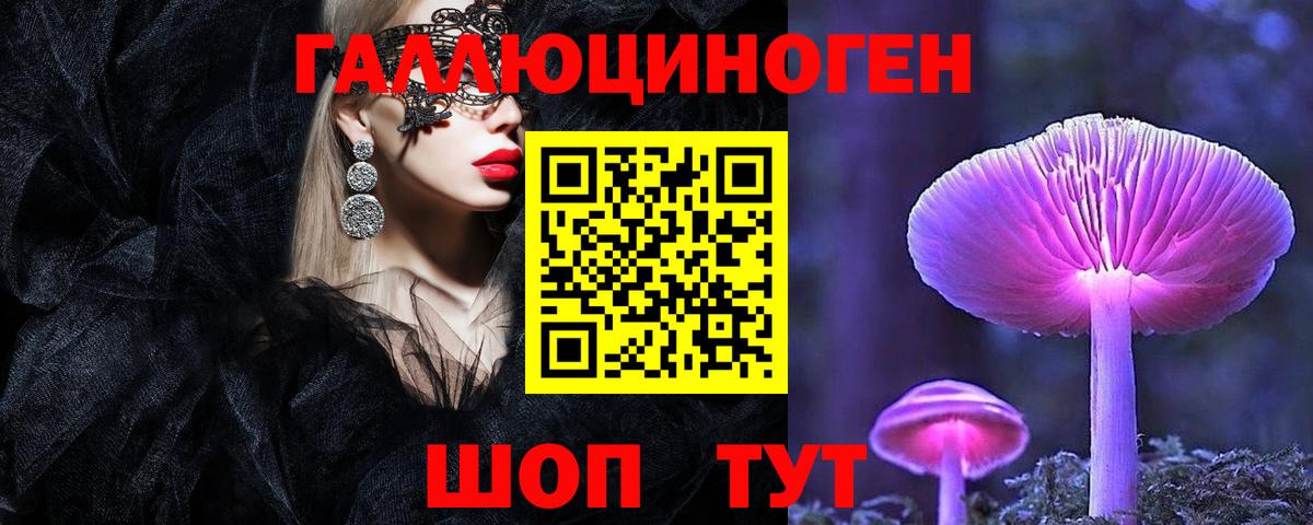 как найти   Вход с VPN  Острогожск  Галлюциногенные грибы мухоморы 